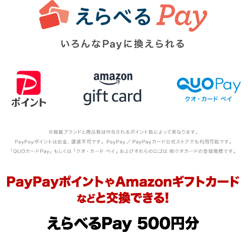 えらべるPay いろんなPayに換えられる PayPayポイント　amazonギフト券　QUOカードペイ　PayPayポイントやamazonギフト券などと交換できる！えらべるPay 500円