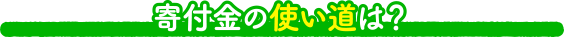 寄付金の使い道は？