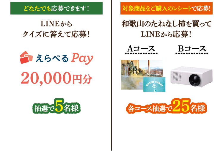 どなたでも応募できます！LINEからクイズに答えて応募！えらべるPay 20,000円分 抽選で5名様／対象商品をご購入のレシートで応募！和歌山のたねなし柿を買ってLINEから応募！Aコース Bコース 各コース抽選で25名様