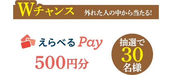 Wチャンス 外れた人の中から当たる! えらべるPay 500円分　抽選で30名様