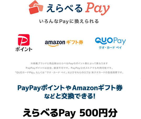 いろんなPayに換えられる PayPayポイント　amazonギフト券　QUOカードペイ　えらべるPay 500円