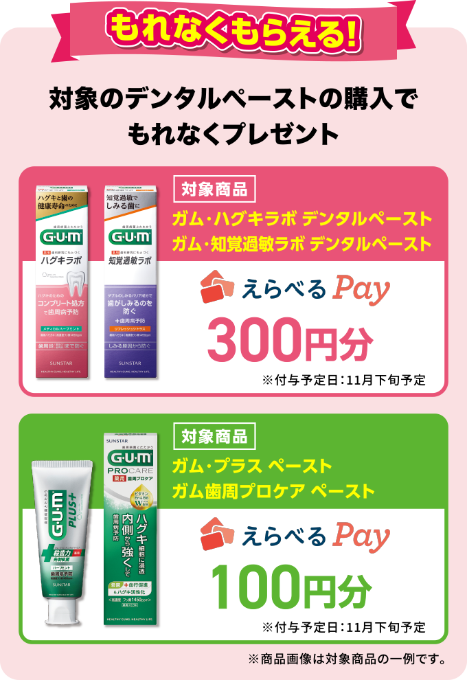 もれなくもらえる！ 対象のデンタルペーストの購入でもれなくプレゼント <えらべるPay300円分> 対象商品 ガム・ハグキラボ デンタルペースト/ガム・知覚過敏ラボ デンタルペースト　<えらべるPay100円分> 対象商品 ガム・プラス ペースト/ガム歯周プロケア ペースト