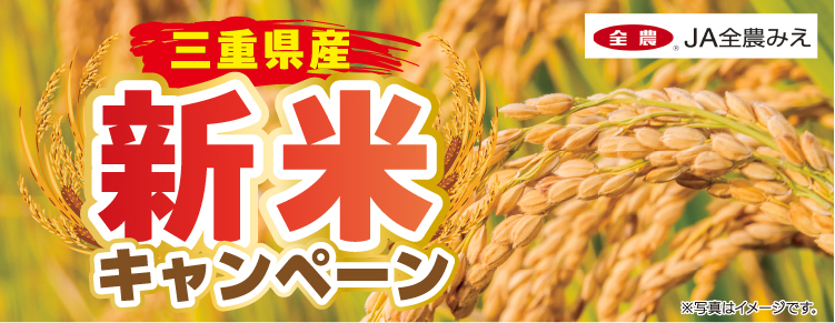 タイトル