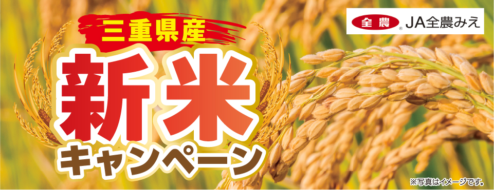 タイトル
