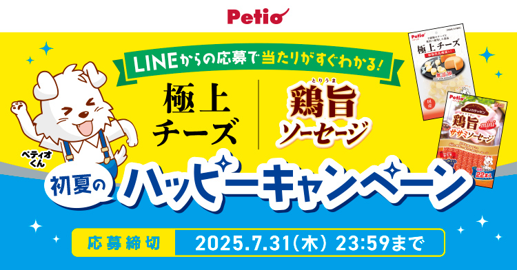 タイトル
