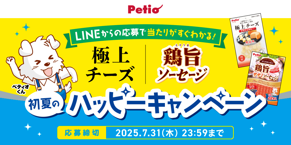 タイトル