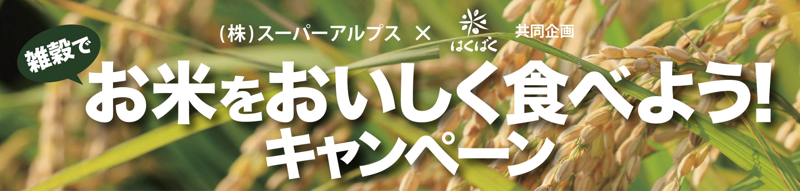 タイトル