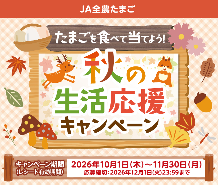 タイトル