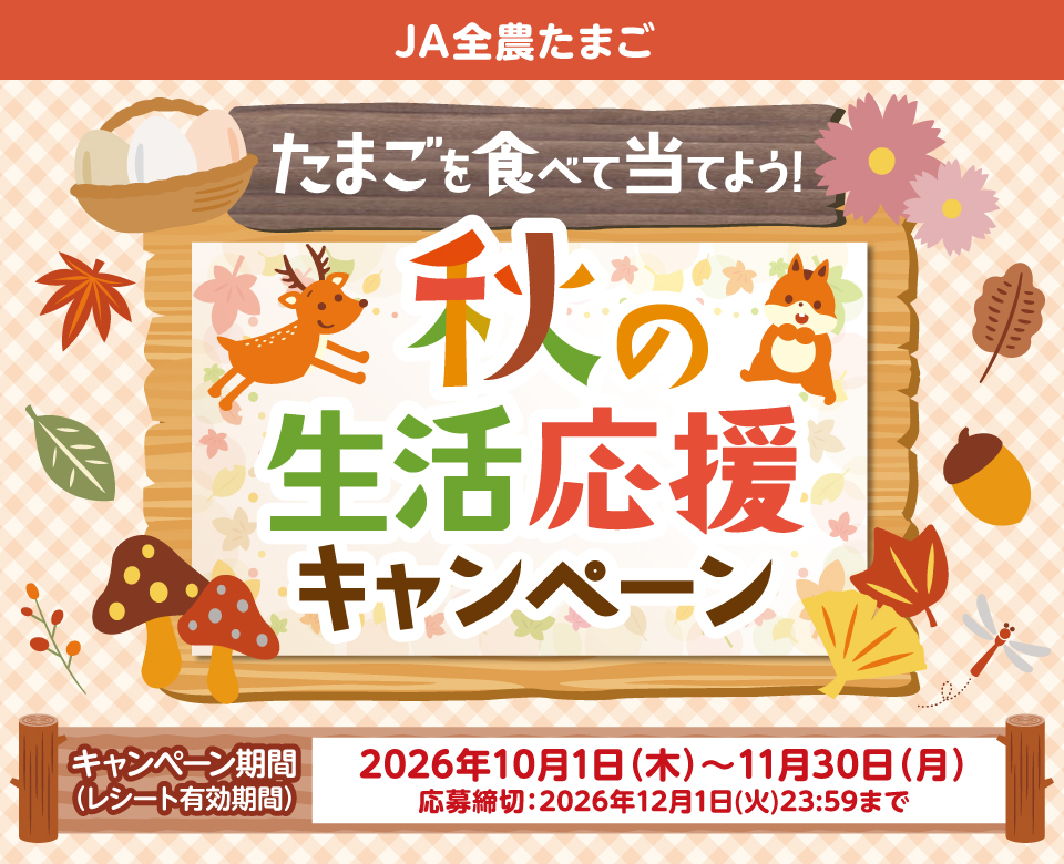 タイトル