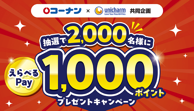 タイトル