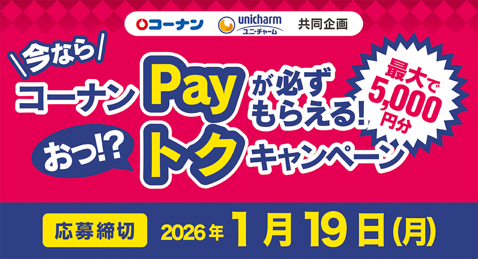 タイトル