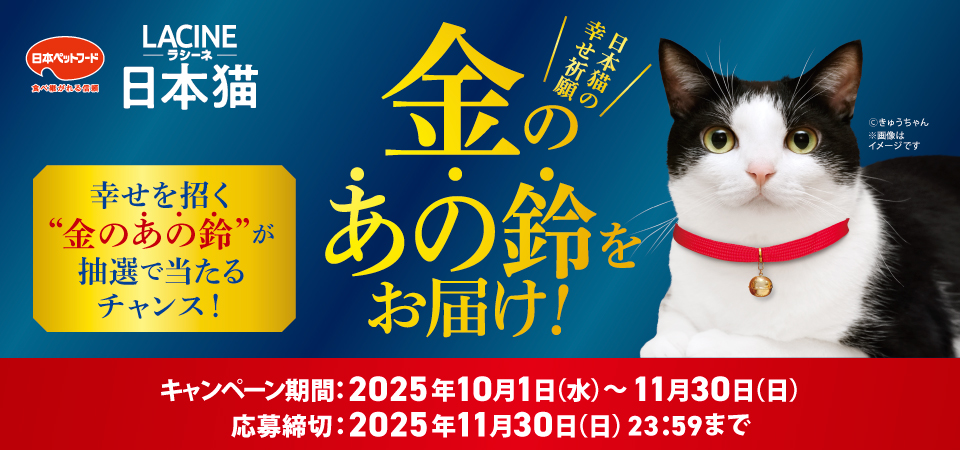 タイトル