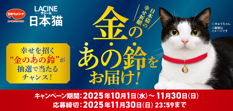 タイトル