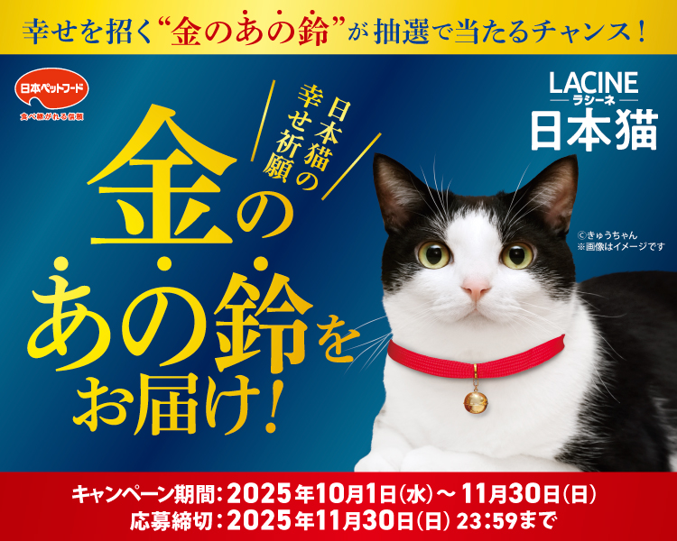 タイトル
