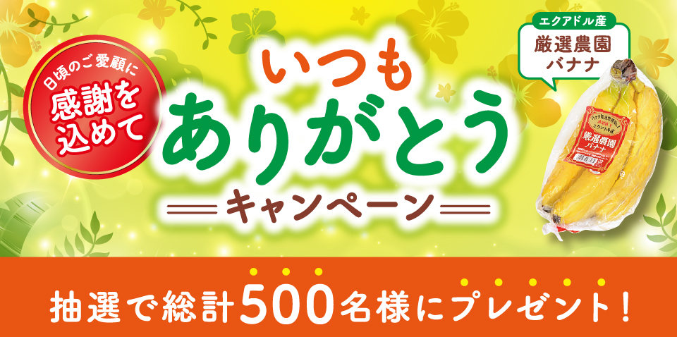 タイトル