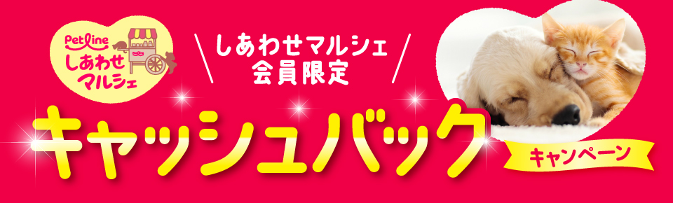 タイトル