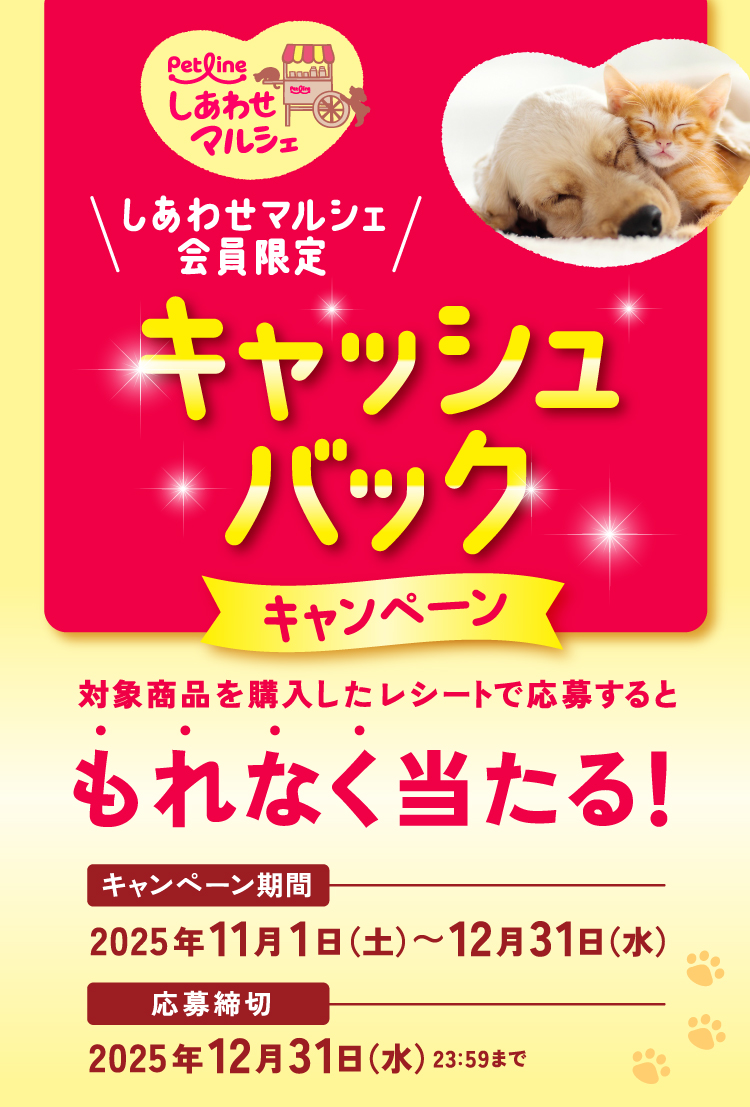 タイトル