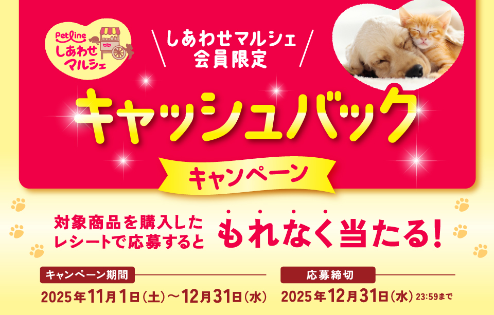 タイトル