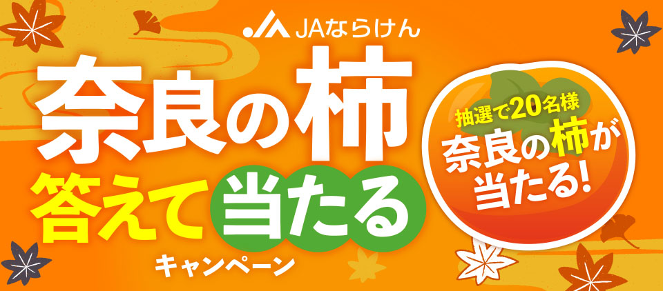 タイトル