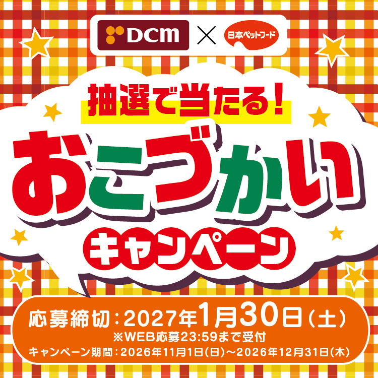 タイトル
