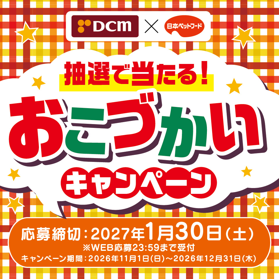 タイトル