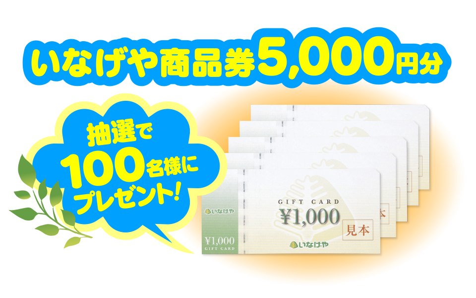 懸賞応募□いなげや×明治□便利な商品券で生活応援キャンペーン【レシート 1口分】いなげや商品券5,000円分が当たる!□専用応募ハガキあり -  広告、ノベルティグッズ