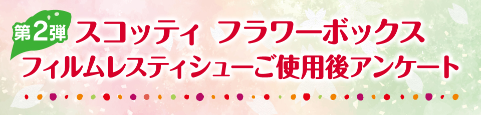 タイトル
