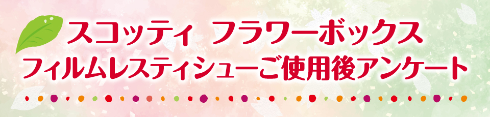 タイトル