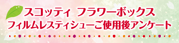 タイトル