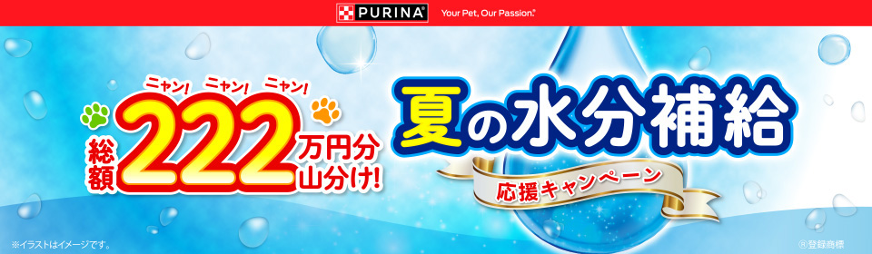 タイトル