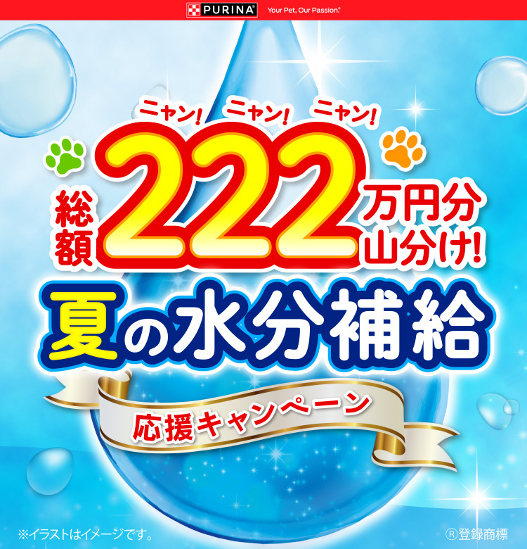 タイトル