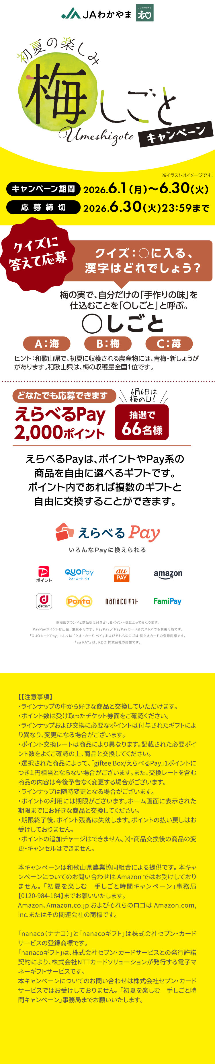 タイトル