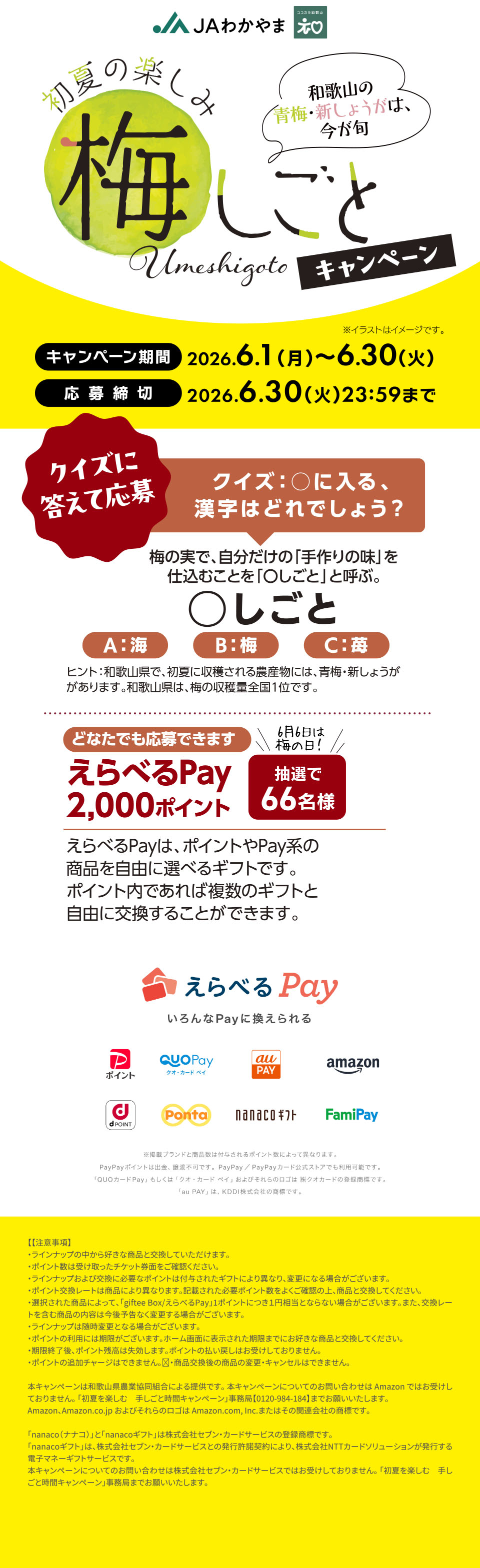 タイトル